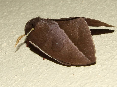 FIGURE 9c FIGURE 9c